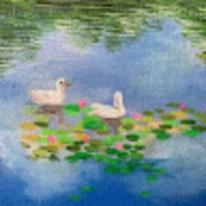 Meet your Posher, Remy